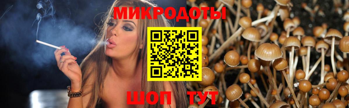 Галлюциногенные грибы Psilocybe  Вход с VPN  Луховицы 